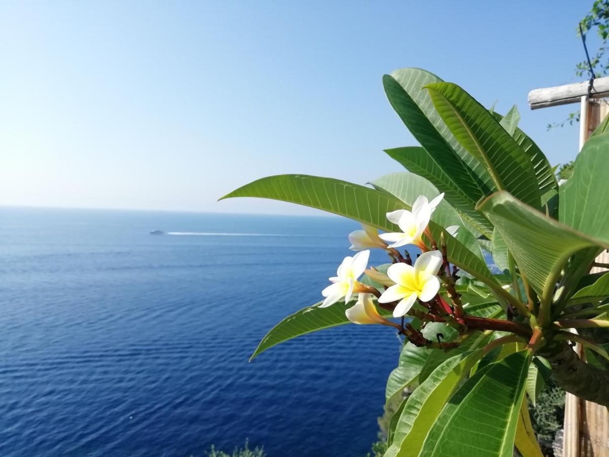 Sea Side Solandra Appartement Praiano Buitenkant foto